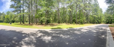 Build Your Dream Home in the Prestigious River Landing Community
 on River Landing Golf Course in North Carolina - for sale on GolfHomes.com, golf home, golf lot