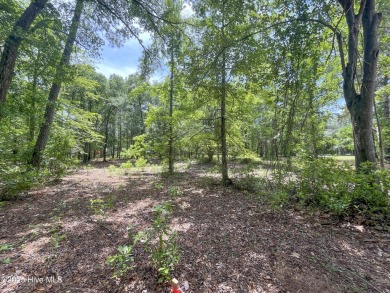 Build Your Dream Home in the Prestigious River Landing Community
 on River Landing Golf Course in North Carolina - for sale on GolfHomes.com, golf home, golf lot
