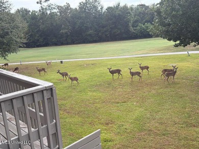 Beautiful views of the Cardinal Golf Course.  New and extended on Diamondhead Country Club in Mississippi - for sale on GolfHomes.com, golf home, golf lot