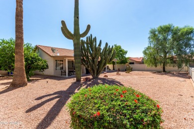 Discover this lovely, single-level, southwestern retreat in on Ironwood Golf Club in Arizona - for sale on GolfHomes.com, golf home, golf lot