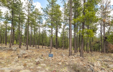 Lot 802 - Craft your custom mountain estate within the on Forest Highlands Golf Club - The Canyon in Arizona - for sale on GolfHomes.com, golf home, golf lot