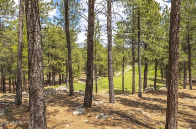 Lot 802 - Craft your custom mountain estate within the on Forest Highlands Golf Club - The Canyon in Arizona - for sale on GolfHomes.com, golf home, golf lot