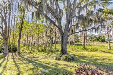 Luxurious lakeside living beckons you to your own private on Deer Island Country Club in Florida - for sale on GolfHomes.com, golf home, golf lot