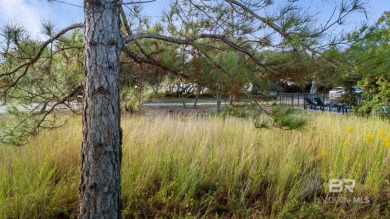 Discover the perfect setting for your dream home in Surfside on Kiva Dunes Golf Club in Alabama - for sale on GolfHomes.com, golf home, golf lot