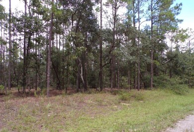 Great Opportunity to Build or Invest!

Residential lot located on Citrus Springs Country Club in Florida - for sale on GolfHomes.com, golf home, golf lot
