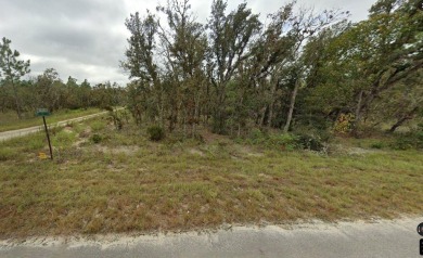 Excellent lot in Williston Highlands. This 0.23 acre lot in on Williston Highlands Golf and Country Club in Florida - for sale on GolfHomes.com, golf home, golf lot