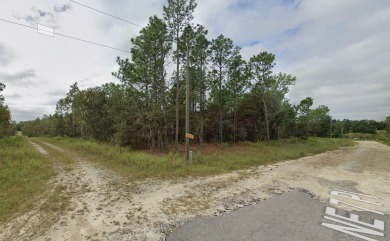 Excellent lot in Williston Highlands. This 0.23 acre lot in on Williston Highlands Golf and Country Club in Florida - for sale on GolfHomes.com, golf home, golf lot