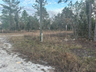 Excellent lot in Williston Highlands. This 0.23 acre lot in on Williston Highlands Golf and Country Club in Florida - for sale on GolfHomes.com, golf home, golf lot