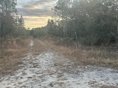 Excellent lot in Williston Highlands. This 0.23 acre lot in on Williston Highlands Golf and Country Club in Florida - for sale on GolfHomes.com, golf home, golf lot