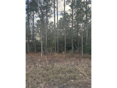 Excellent lot in Williston Highlands. This 0.23 acre lot in on Williston Highlands Golf and Country Club in Florida - for sale on GolfHomes.com, golf home, golf lot