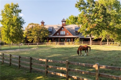 Very affordable Cliffs Vineyards home site. Lake Keowee and Blue on The Cliffs At Keowee Vineyards Golf Club in South Carolina - for sale on GolfHomes.com, golf home, golf lot