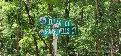 Don't miss this rare opportunity to own two contiguous wooded on Tega Cay Golf Club in South Carolina - for sale on GolfHomes.com, golf home, golf lot