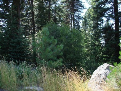 Enjoy a sense of seclusion on this beautiful lot in the desired on McCall Municipal Golf Course in Idaho - for sale on GolfHomes.com, golf home, golf lot