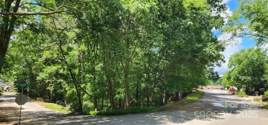 Don't miss this rare opportunity to own two contiguous wooded on Tega Cay Golf Club in South Carolina - for sale on GolfHomes.com, golf home, golf lot