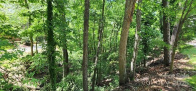 Don't miss this rare opportunity to own two contiguous wooded on Tega Cay Golf Club in South Carolina - for sale on GolfHomes.com, golf home, golf lot