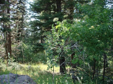 Enjoy a sense of seclusion on this beautiful lot in the desired on McCall Municipal Golf Course in Idaho - for sale on GolfHomes.com, golf home, golf lot