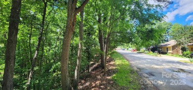 Don't miss this rare opportunity to own two contiguous wooded on Tega Cay Golf Club in South Carolina - for sale on GolfHomes.com, golf home, golf lot