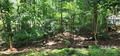 Don't miss this rare opportunity to own two contiguous wooded on Tega Cay Golf Club in South Carolina - for sale on GolfHomes.com, golf home, golf lot