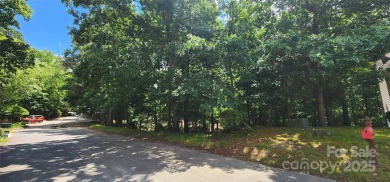 Don't miss this rare opportunity to own two contiguous wooded on Tega Cay Golf Club in South Carolina - for sale on GolfHomes.com, golf home, golf lot