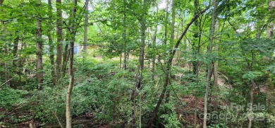 Don't miss this rare opportunity to own two contiguous wooded on Tega Cay Golf Club in South Carolina - for sale on GolfHomes.com, golf home, golf lot