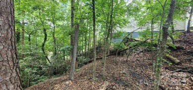 Don't miss this rare opportunity to own two contiguous wooded on Tega Cay Golf Club in South Carolina - for sale on GolfHomes.com, golf home, golf lot