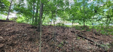 Don't miss this rare opportunity to own two contiguous wooded on Tega Cay Golf Club in South Carolina - for sale on GolfHomes.com, golf home, golf lot