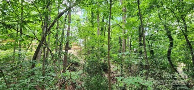 Don't miss this rare opportunity to own two contiguous wooded on Tega Cay Golf Club in South Carolina - for sale on GolfHomes.com, golf home, golf lot