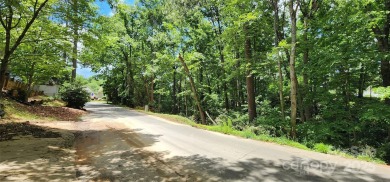 Don't miss this rare opportunity to own two contiguous wooded on Tega Cay Golf Club in South Carolina - for sale on GolfHomes.com, golf home, golf lot