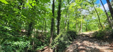 Don't miss this rare opportunity to own two contiguous wooded on Tega Cay Golf Club in South Carolina - for sale on GolfHomes.com, golf home, golf lot