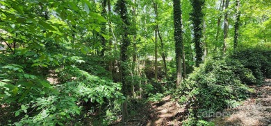 Don't miss this rare opportunity to own two contiguous wooded on Tega Cay Golf Club in South Carolina - for sale on GolfHomes.com, golf home, golf lot