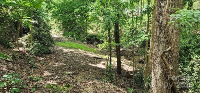 Don't miss this rare opportunity to own two contiguous wooded on Tega Cay Golf Club in South Carolina - for sale on GolfHomes.com, golf home, golf lot