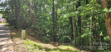 Don't miss this rare opportunity to own two contiguous wooded on Tega Cay Golf Club in South Carolina - for sale on GolfHomes.com, golf home, golf lot