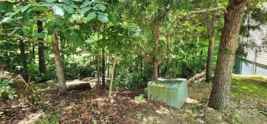 Don't miss this rare opportunity to own two contiguous wooded on Tega Cay Golf Club in South Carolina - for sale on GolfHomes.com, golf home, golf lot