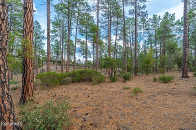 BACKING NATIONAL FOREST IN THE RIM GOLF CLUB! Nestled within the on The Rim Golf Club in Arizona - for sale on GolfHomes.com, golf home, golf lot