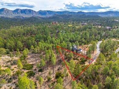 BACKING NATIONAL FOREST IN THE RIM GOLF CLUB! Nestled within the on The Rim Golf Club in Arizona - for sale on GolfHomes.com, golf home, golf lot