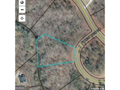 Build to Suit RIVER LOT - where luxury meets tranquility! This 1 on The Club River Forest in Georgia - for sale on GolfHomes.com, golf home, golf lot