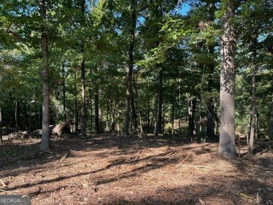 Build to Suit RIVER LOT - where luxury meets tranquility! This 1 on The Club River Forest in Georgia - for sale on GolfHomes.com, golf home, golf lot