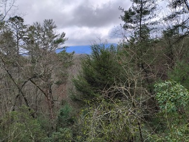 This lot is located in the beautiful Buckhorn subdivision.  If on White Path Golf Club in Georgia - for sale on GolfHomes.com, golf home, golf lot