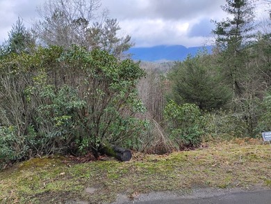 This lot is located in the beautiful Buckhorn subdivision.  If on White Path Golf Club in Georgia - for sale on GolfHomes.com, golf home, golf lot