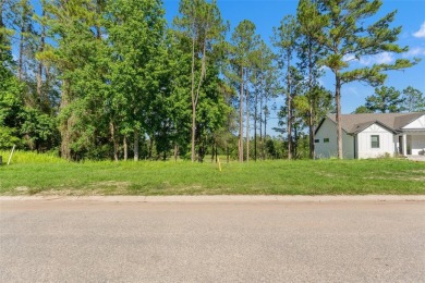 OWNER FINANCING AVAILABLE! Nestled inside one of the top rated on Southern Hills Plantation Club in Florida - for sale on GolfHomes.com, golf home, golf lot