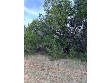 0.26 acreage interior lot, level, prairie grasses, few trees on White Bluff Resort - Old Course in Texas - for sale on GolfHomes.com, golf home, golf lot