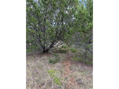 0.26 acreage interior lot, level, prairie grasses, few trees on White Bluff Resort - Old Course in Texas - for sale on GolfHomes.com, golf home, golf lot