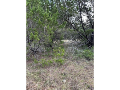 0.26 acreage interior lot, level, prairie grasses, few trees on White Bluff Resort - Old Course in Texas - for sale on GolfHomes.com, golf home, golf lot