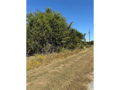 This lot won't last long. Everyone is looking for 1 AC or more on White Bluff Resort - New Course in Texas - for sale on GolfHomes.com, golf home, golf lot