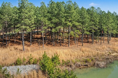 Welcome to 1.78 acres of possibility tucked away on a quiet on Sequatchie Valley Golf and Country Club in Tennessee - for sale on GolfHomes.com, golf home, golf lot