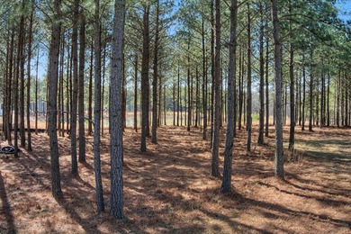 Welcome to 1.78 acres of possibility tucked away on a quiet on Sequatchie Valley Golf and Country Club in Tennessee - for sale on GolfHomes.com, golf home, golf lot