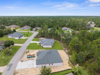 STUNNING, MOVE-IN READY...BRAND NEW HOME!!! Craftsman-style on Sugarmill Woods Golf and Country Club in Florida - for sale on GolfHomes.com, golf home, golf lot