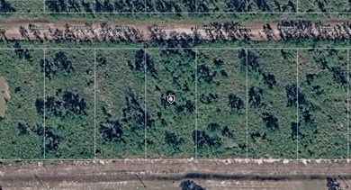 Discover the opportunity to own half an acre of land in the on Indian Lake Estates Golf and Country Club in Florida - for sale on GolfHomes.com, golf home, golf lot