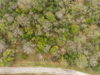 Come take a look at this gorgeous lot located across from the on White Bluff Resort - New Course in Texas - for sale on GolfHomes.com, golf home, golf lot