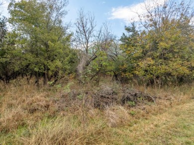 Come take a look at this gorgeous lot located across from the on White Bluff Resort - New Course in Texas - for sale on GolfHomes.com, golf home, golf lot